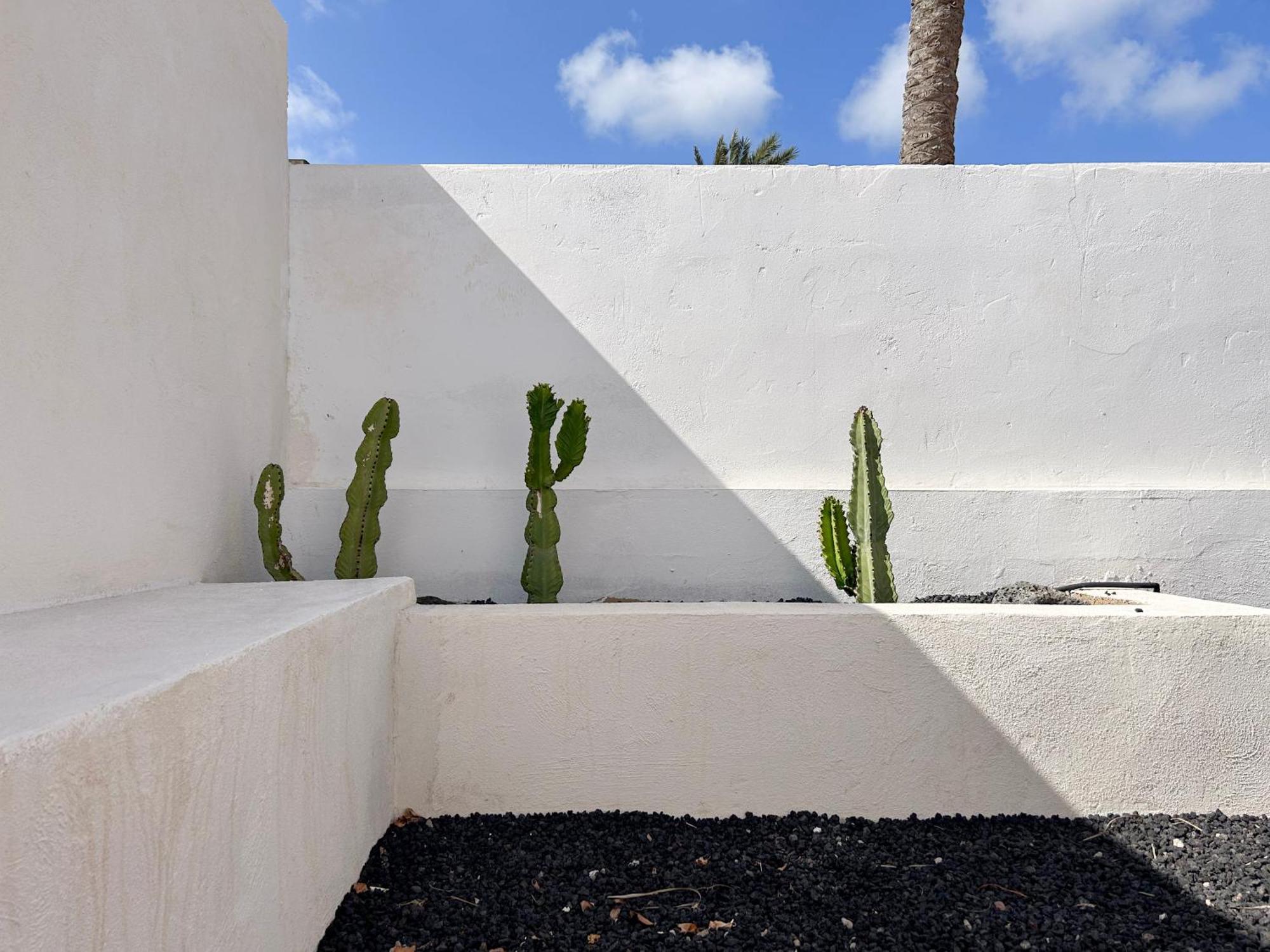 House Boho Palm With Private Heated Pool And Garden, 3 Bedrooms, Wi-Fi كوراليهو المظهر الخارجي الصورة